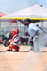 Umpire and Catcher - RAYBA Baseball